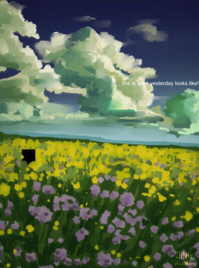 Photo study | grass field