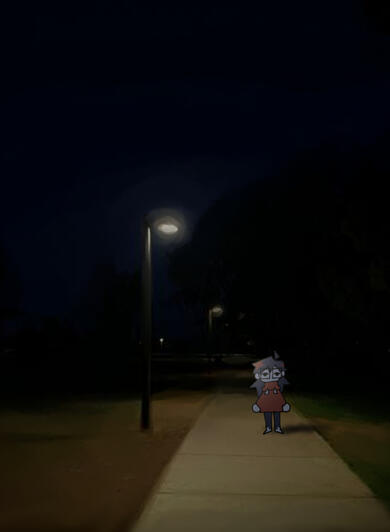 night walk encounter